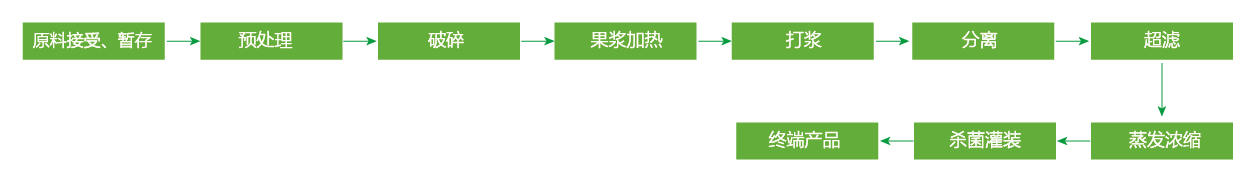 藍(lán)莓、草莓、桑葚濃縮汁